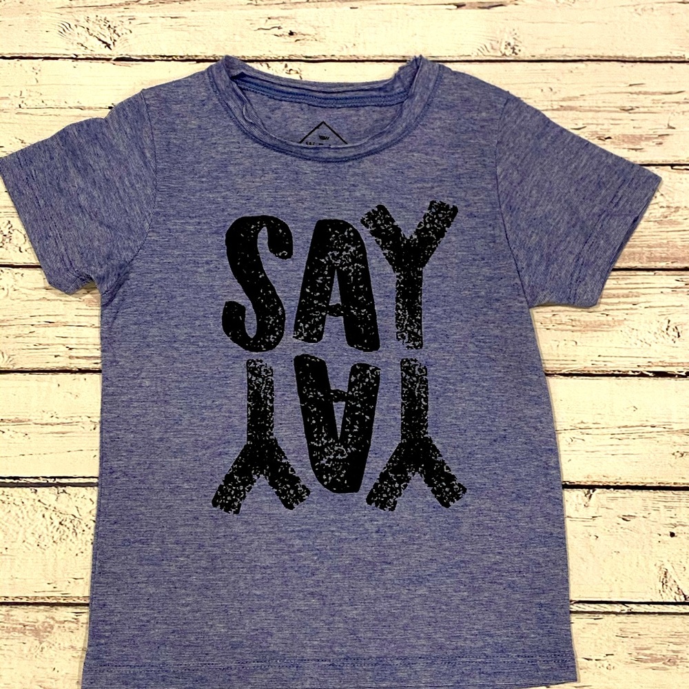 Toddler Boys T Shirts- Lot of 4
